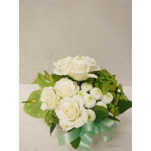 white�~green�@Arrangement