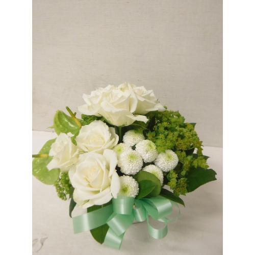 white�~green�@Arrangement2