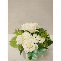 white�~green�@Arrangement