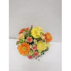 Orange�@Arrangement