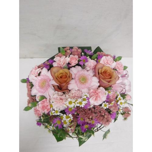 �u�₩�s���Narrangement2
