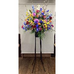 �u���[���|�C���g�ȃJ���t���X�^���h�ԂP�i