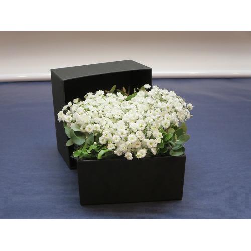 BOX�A�����W �����ݑ� �n�[�gBOX2