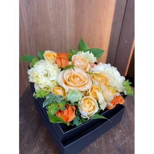 �a�n�w�A�����W�����g�@���O�W���A���[�@�C�G���[2