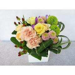 �y�h�V�̓��ɂ������߁z�܂ǂ�