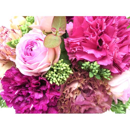 �y���a������y���ԂɃI�X�X���I�z��M�I�ȃA�����W3
