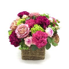 Fleur sereine��t���[���X���[�k��yL�z