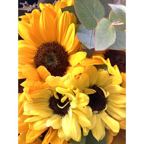 Father'sDay bouquet-���Ԃɑ�����-2