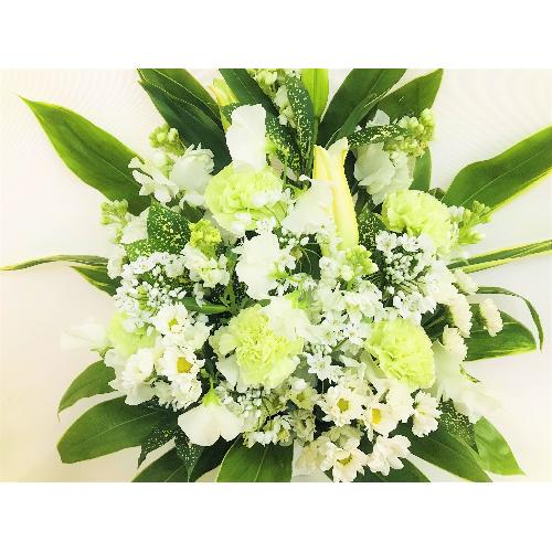 �������̔��オ��̌䋟�A�����W�����g�B2