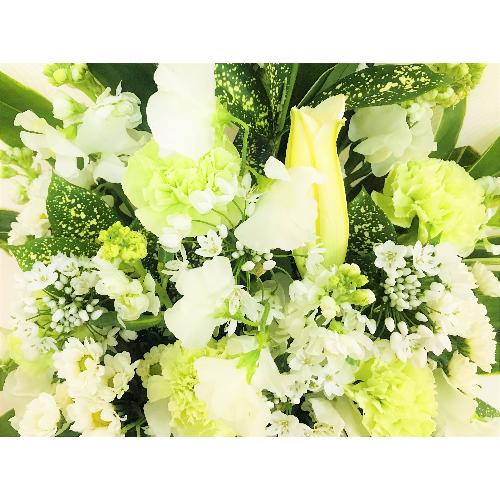 �������̔��オ��̌䋟�A�����W�����g�B3
