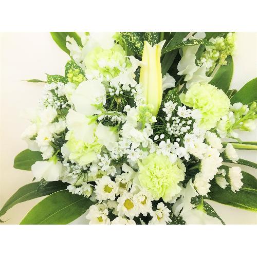 �������̔��オ��̌䋟�A�����W�����g�B4