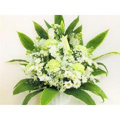 �������̔��オ��̌䋟�A�����W�����g�B