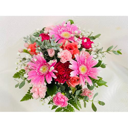 �s���N�K�[�x���̂��킢���A�����W�����g�B2