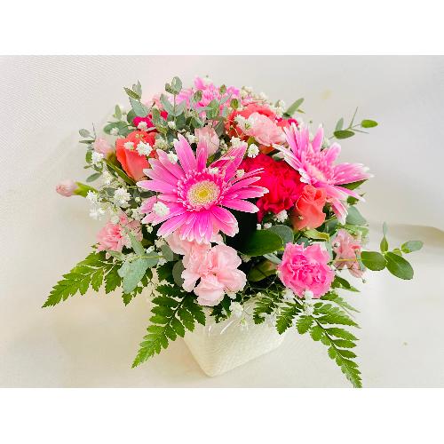 �s���N�K�[�x���̂��킢���A�����W�����g�B4