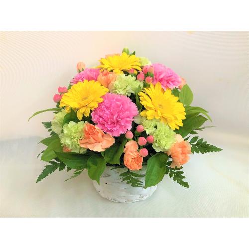 �s���N�C�G���[�̉؂₩�ȃA�����W�����g�B
