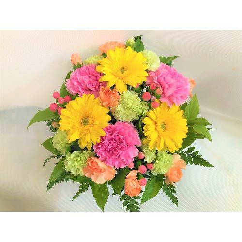 �s���N�C�G���[�̉؂₩�ȃA�����W�����g�B2