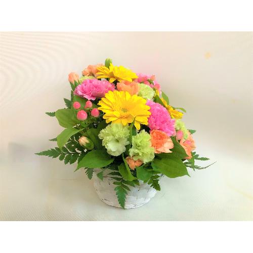 �s���N�C�G���[�̉؂₩�ȃA�����W�����g�B3