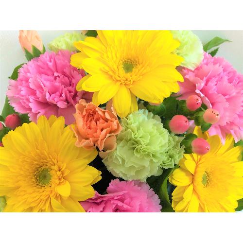 �s���N�C�G���[�̉؂₩�ȃA�����W�����g�B4