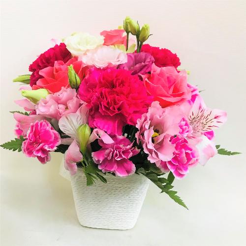 �s���N�o���̉����t���t���s���N�̃A�����W�����g�B