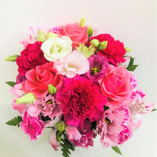 �s���N�o���̉����t���t���s���N�̃A�����W�����g�B2