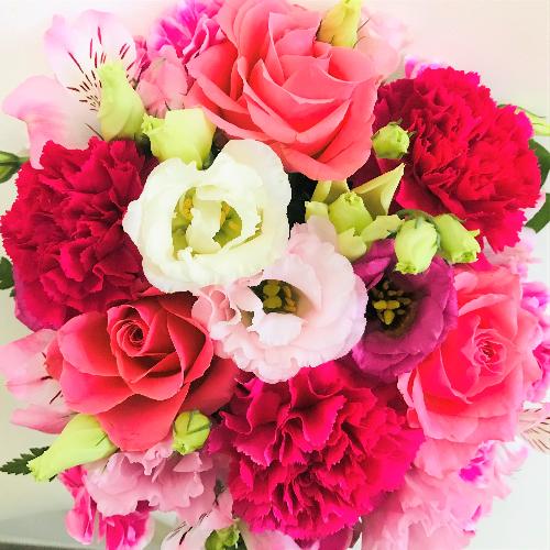 �s���N�o���̉����t���t���s���N�̃A�����W�����g�B3