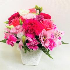 �s���N�o���̉����t���t���s���N�̃A�����W�����g�B