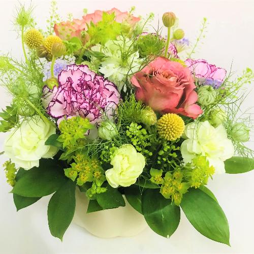 �i�`�������ȃ��_���O���[���A�����W�����g2