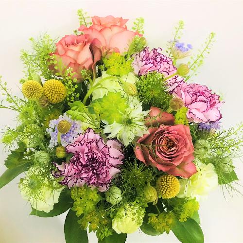 �i�`�������ȃ��_���O���[���A�����W�����g3