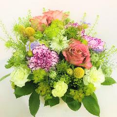 �i�`�������ȃ��_���O���[���A�����W�����g