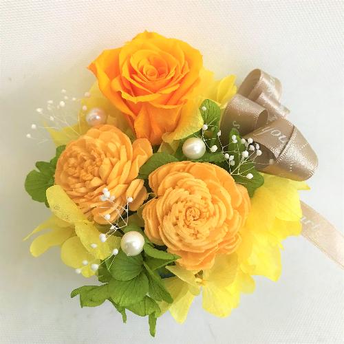 ���F�I�����W�n�v���U�[�u�h�t�����[������