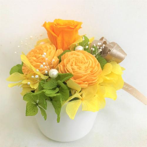 ���F�I�����W�n�v���U�[�u�h�t�����[������2