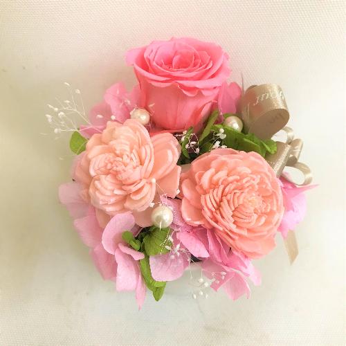 �s���N�n�v���U�[�u�h�t�����[������