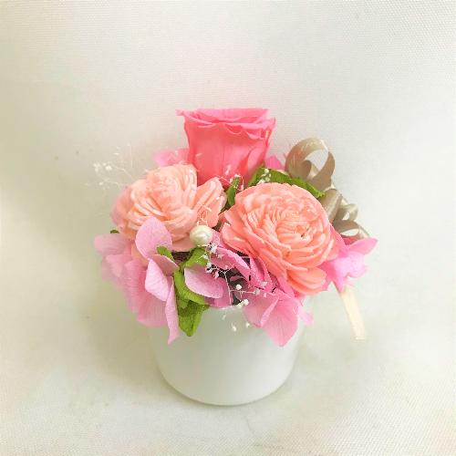 �s���N�n�v���U�[�u�h�t�����[������2