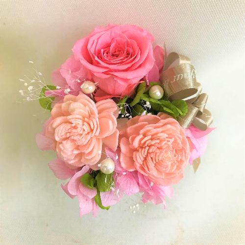 �s���N�n�v���U�[�u�h�t�����[������3