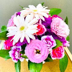 ���킢���s���N�n�~�j�A�����W�����g�B