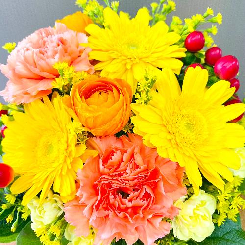 ���F�I�����W�n�A���邢�F�����̃A�����W�����g�B2