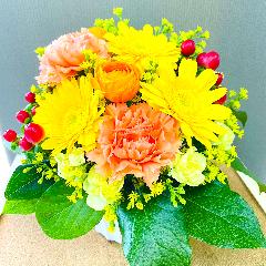 ���F�I�����W�n�A���邢�F�����̃A�����W�����g�B