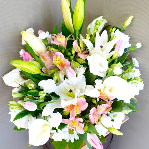 �������̂ق�̂�s���N�̌䋟�A�����W�����g�B2