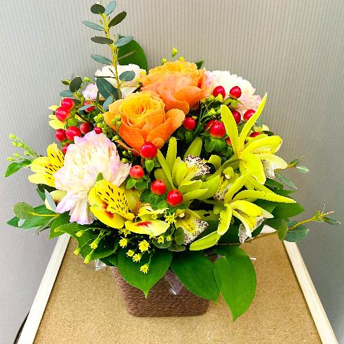 �����C�G���[�E�I�����W�n�A�����W�����g�B