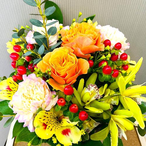 �����C�G���[�E�I�����W�n�A�����W�����g�B2
