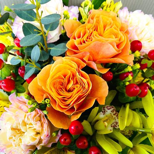 �����C�G���[�E�I�����W�n�A�����W�����g�B3