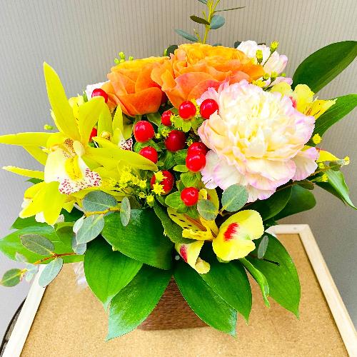 �����C�G���[�E�I�����W�n�A�����W�����g�B4