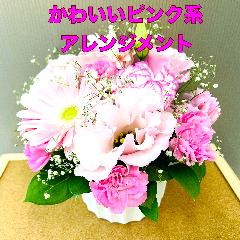 ���킢���s���N�n�A�����W�����g�B