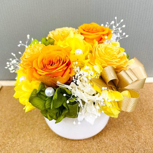 �v���U�[�u�h�t�����[�@�{�����[���̂��鉩�F�I�����W�n�̔�����