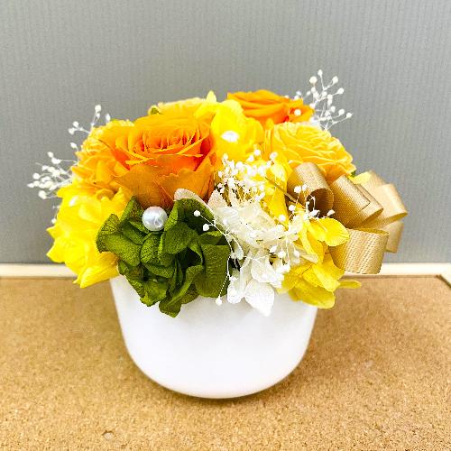 �v���U�[�u�h�t�����[�@�{�����[���̂��鉩�F�I�����W�n�̔�����2