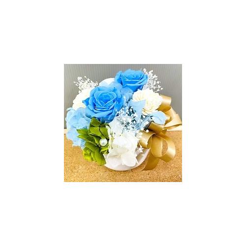 �v���U�[�u�h�t�����[�@�{�����[���̂���u���[�n�̔�����