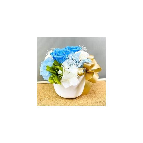 �v���U�[�u�h�t�����[�@�{�����[���̂���u���[�n�̔�����3