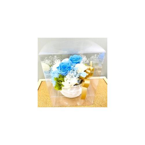 �v���U�[�u�h�t�����[�@�{�����[���̂���u���[�n�̔�����4