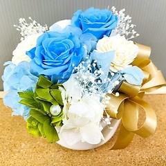 �v���U�[�u�h�t�����[�@�{�����[���̂���u���[�n�̔�����