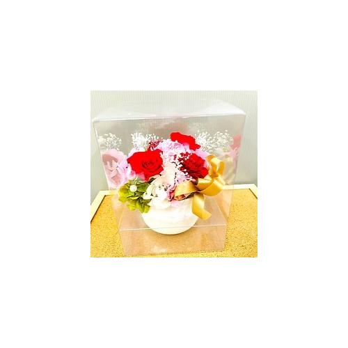 �v���U�[�u�h�t�����[�@�{�����[���̂���ԃs���N�n�̔�����4